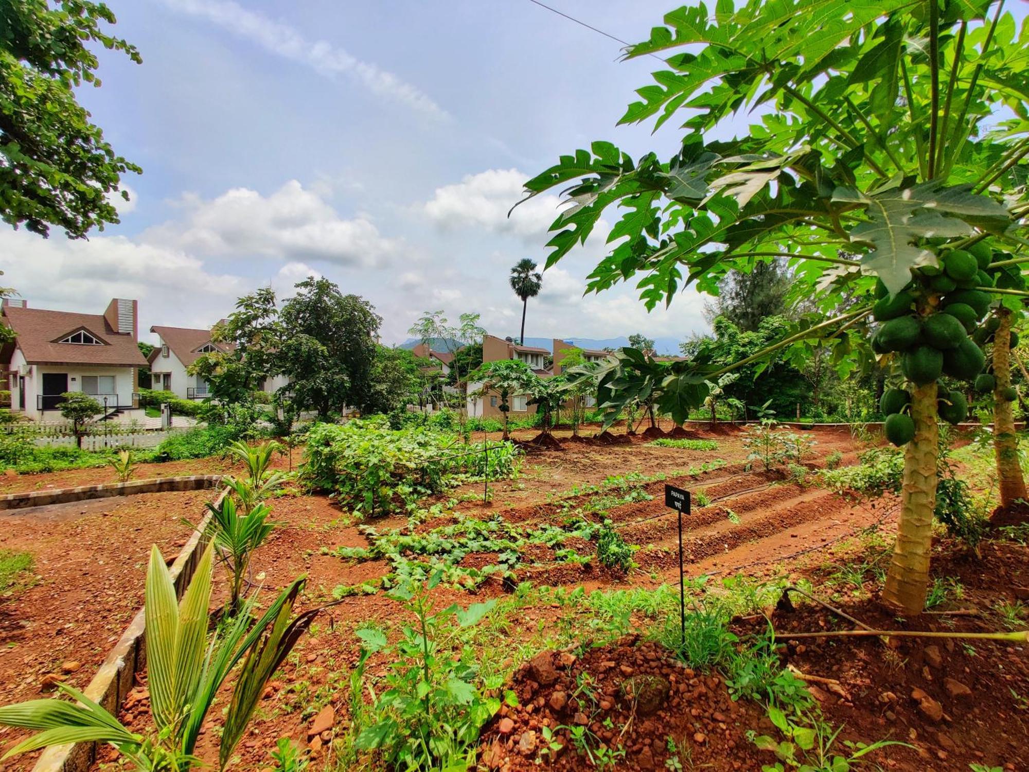Pushpam Sanskruti Resort Karjat - A Pure Veg Resort Dhamni Exterior photo
